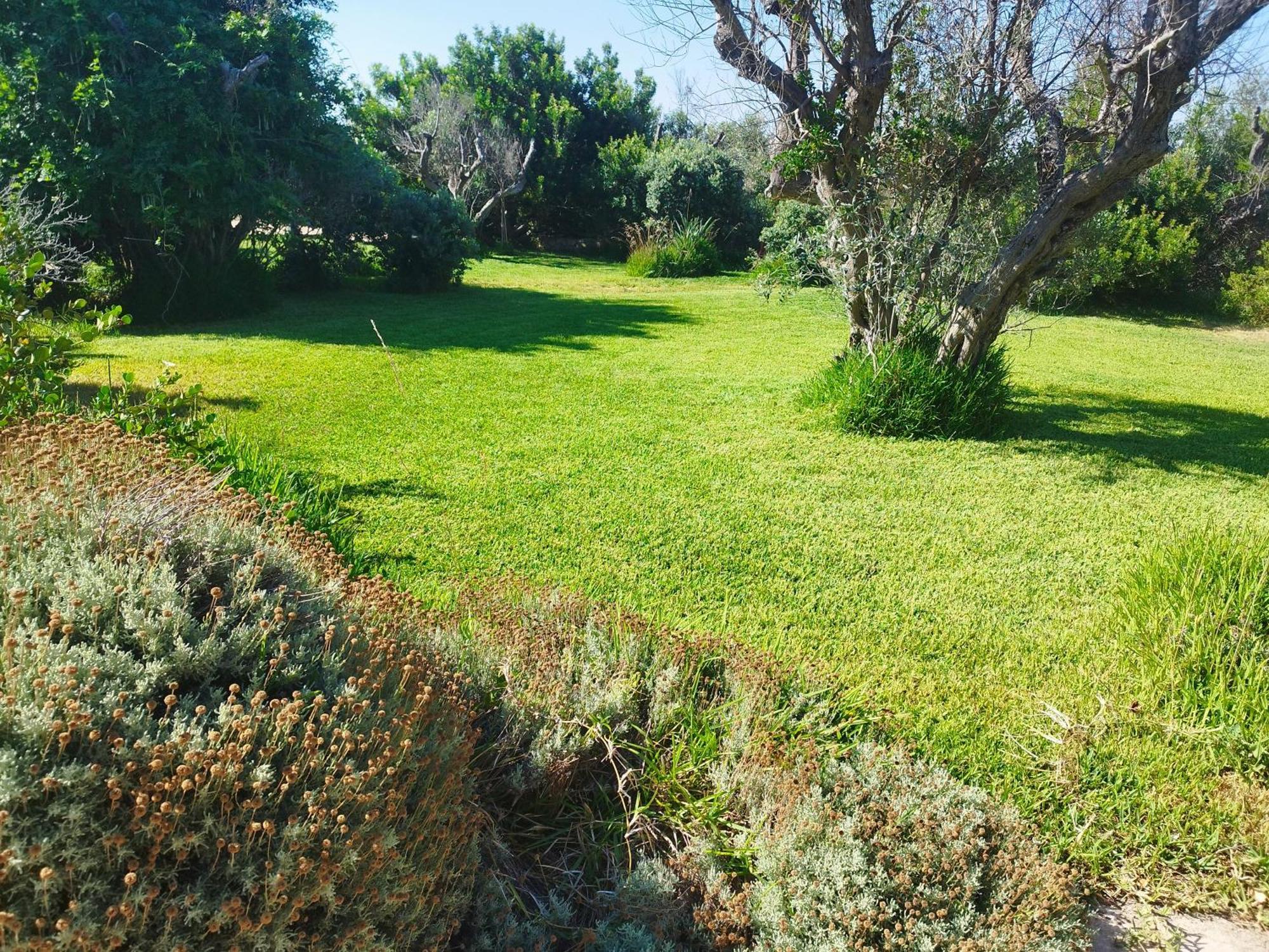 Rizzorelax B&B Io Mammata E Tu Capilungo Εξωτερικό φωτογραφία