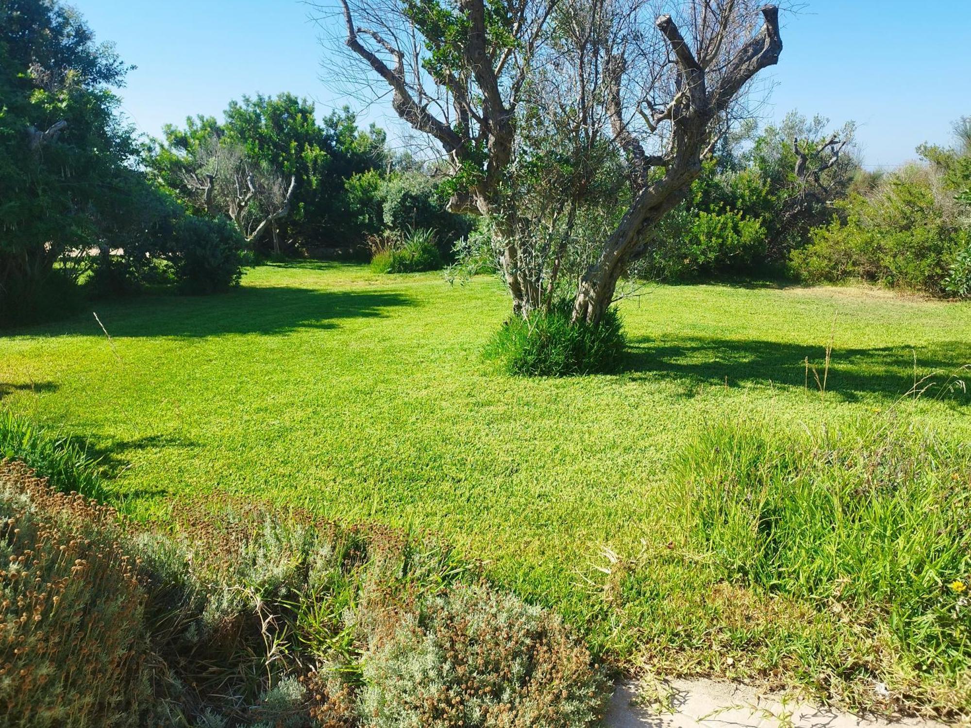 Rizzorelax B&B Io Mammata E Tu Capilungo Εξωτερικό φωτογραφία